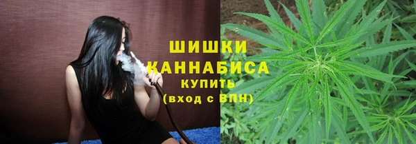 mix Инта