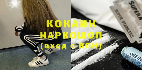 mix Инта