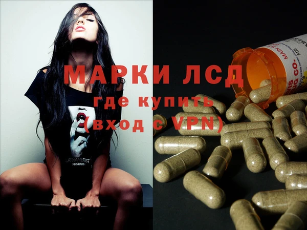 mix Инта
