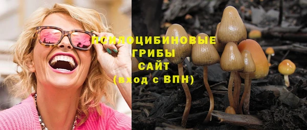 ECSTASY Каменногорск