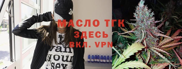 mix Инта