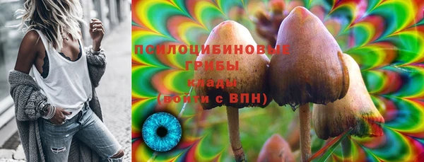mix Инта